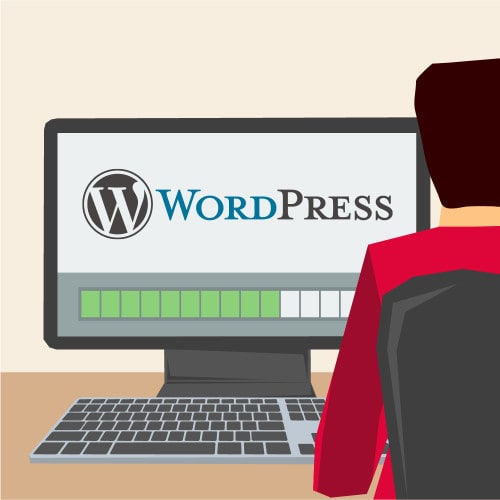 Schaubild Mann an Computer mit WordPress