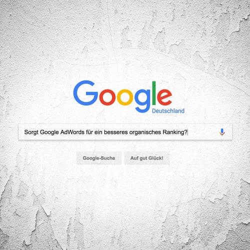 Google Website & Suchfeld