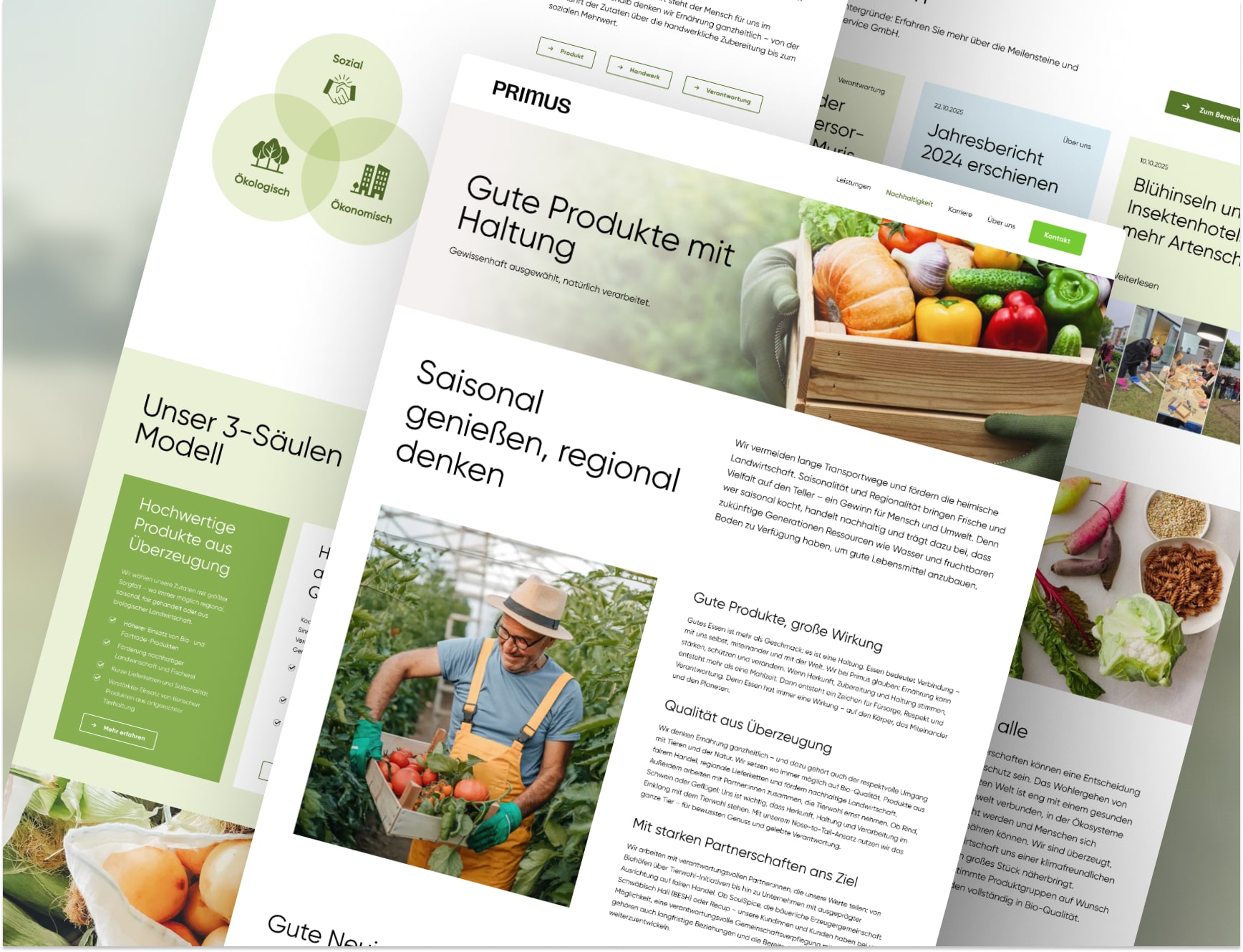 Nachhaltigkeits-Webdesign von mindtwo: Neue Primus-Seite mit strukturierter UX und responsivem Design.